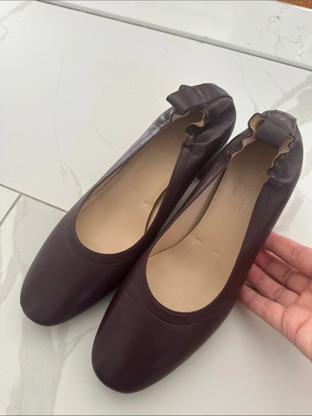 Everlane Day Heel Oxblood 8.5 Leather